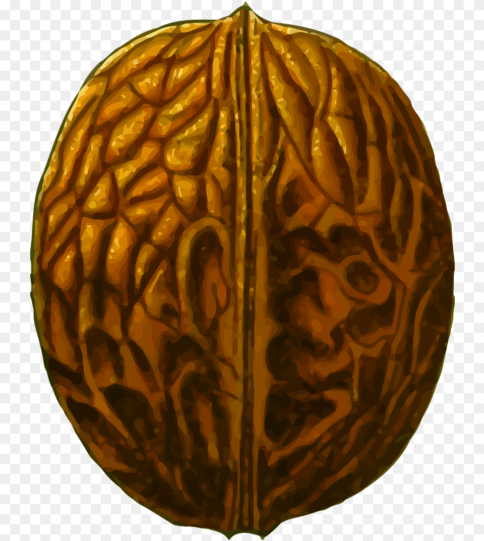 Walnut Clipart, Food, Nut, Plant, Produce Png Image