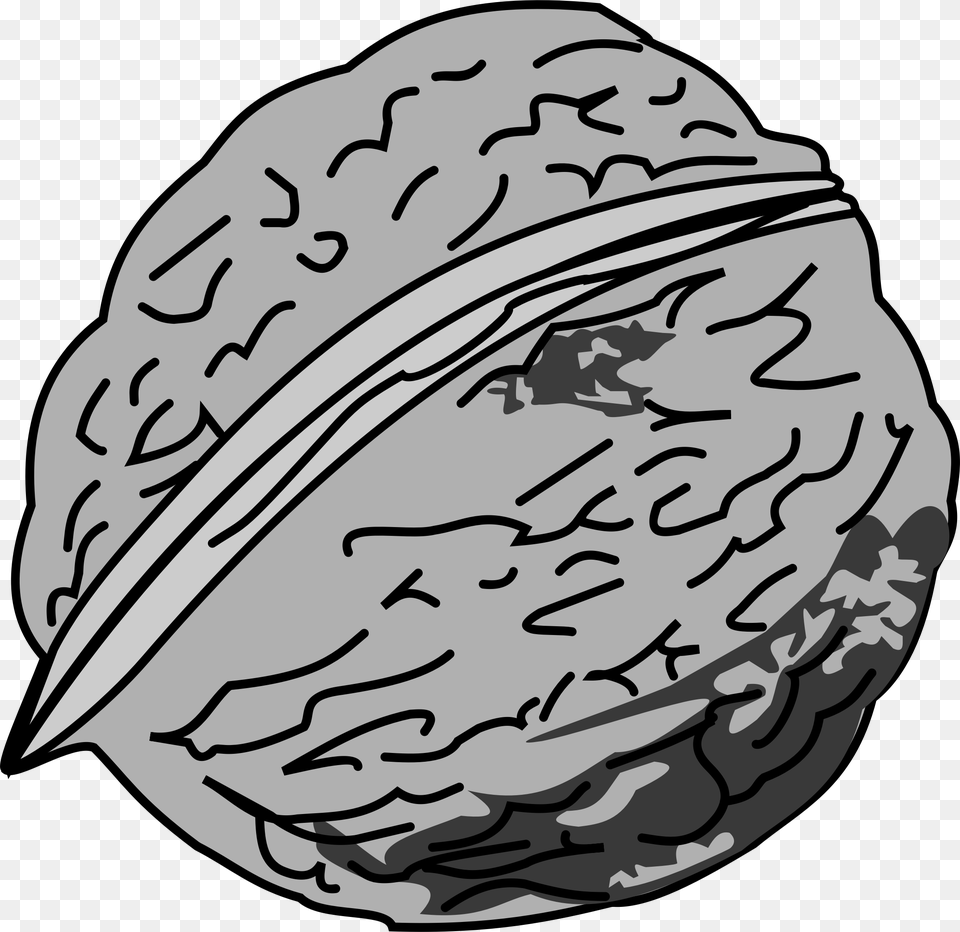 Walnut Clipart Black And White, Food, Nut, Plant, Produce Free Transparent Png