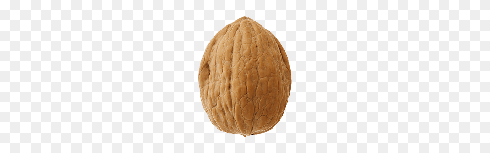 Walnut Single, Food, Nut, Plant, Produce Png