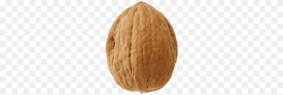 Walnut Single Content And Consciousness Book, Food, Nut, Plant, Produce Png Image