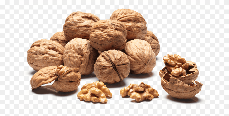 Walnuts Sorrento Walnut, Food, Nut, Plant, Produce Free Png