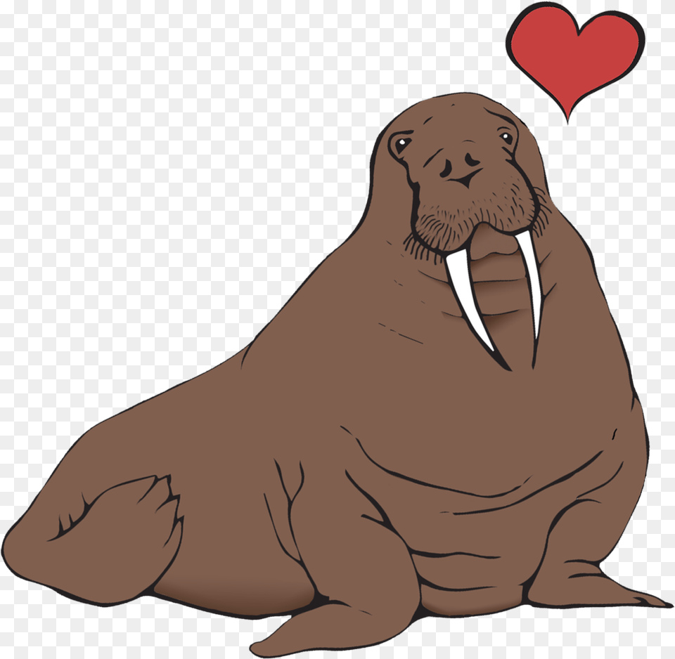 Walrus, Animal, Sea Life, Mammal, Male Png