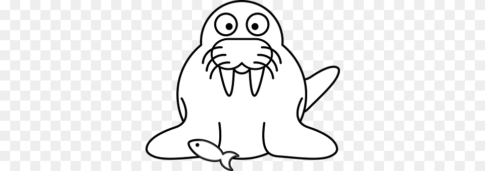 Walrus Stencil, Animal, Fish, Sea Life Free Transparent Png