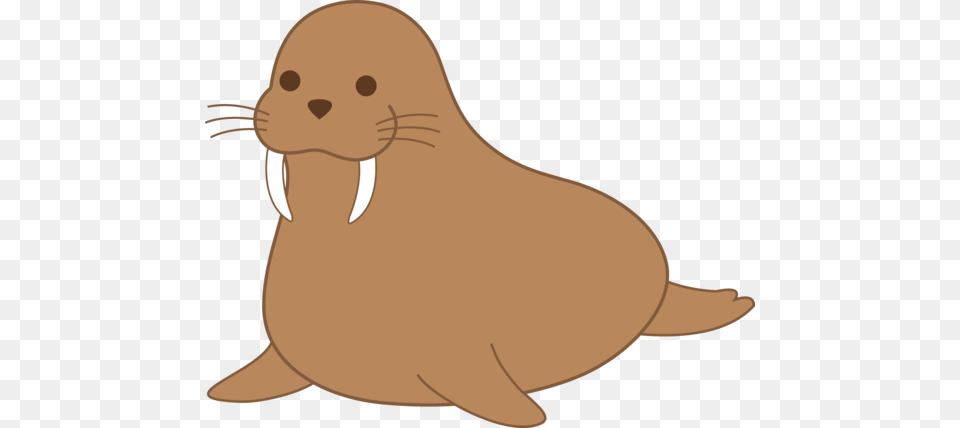 Walrus, Animal, Sea Life, Mammal, Fish Png