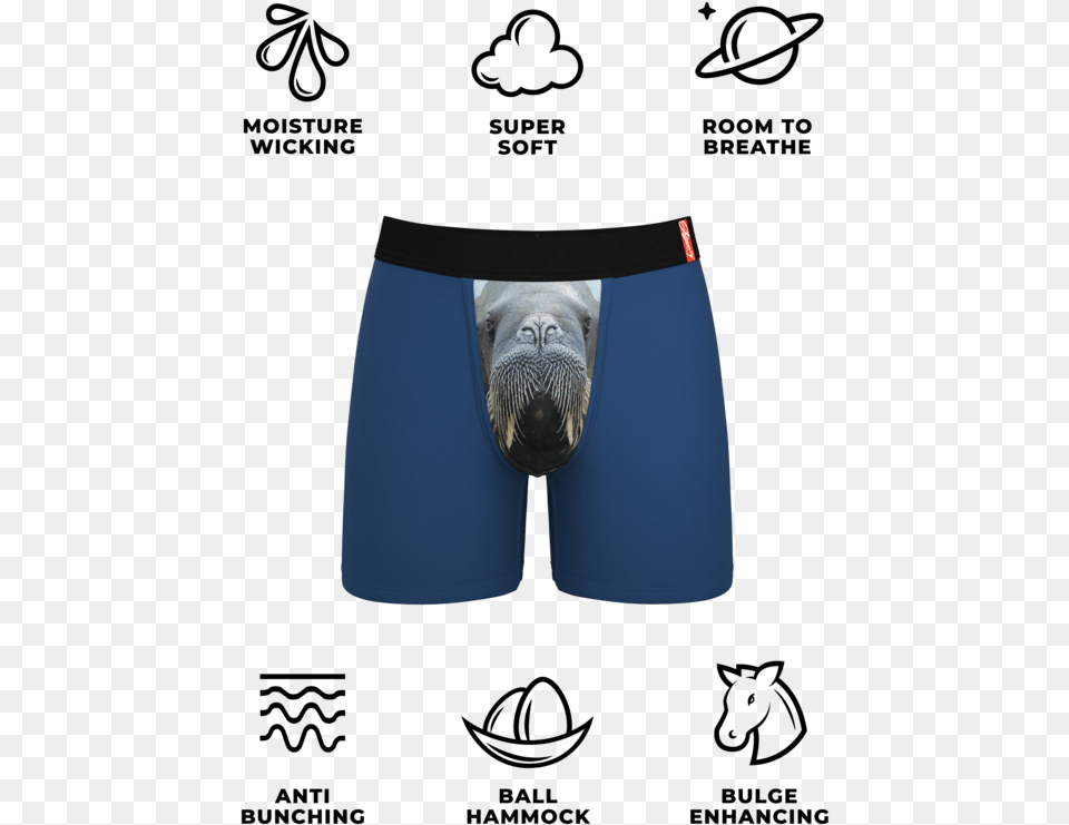 Walrus Ball Pouch Underwear For Men Hot Dog Mens Underwear, Clothing, Animal, Bird, Swimming Trunks Png