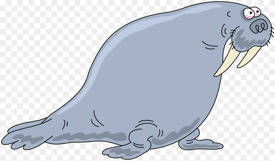 Walrus Clipart, Animal, Mammal, Fish, Sea Life Free Png Download