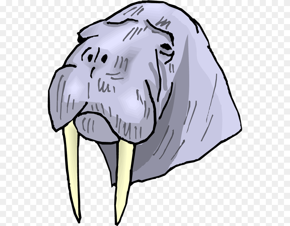 Walrus Clipart, Adult, Male, Man, Person Free Transparent Png