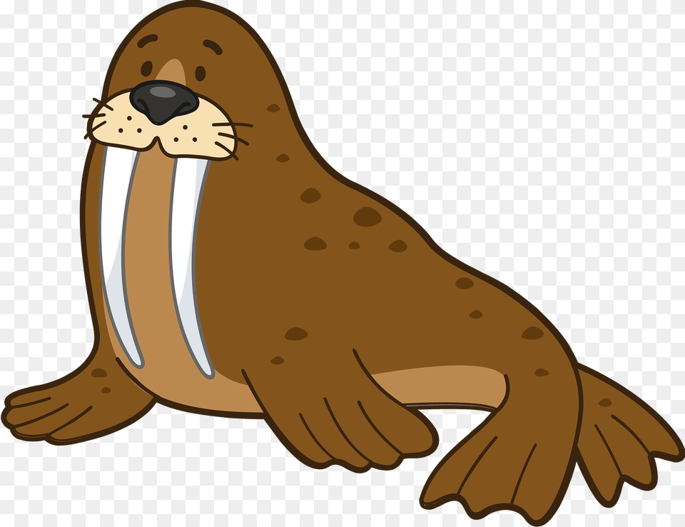 Walrus Clipart, Animal, Mammal, Sea Life, Fish Free Transparent Png