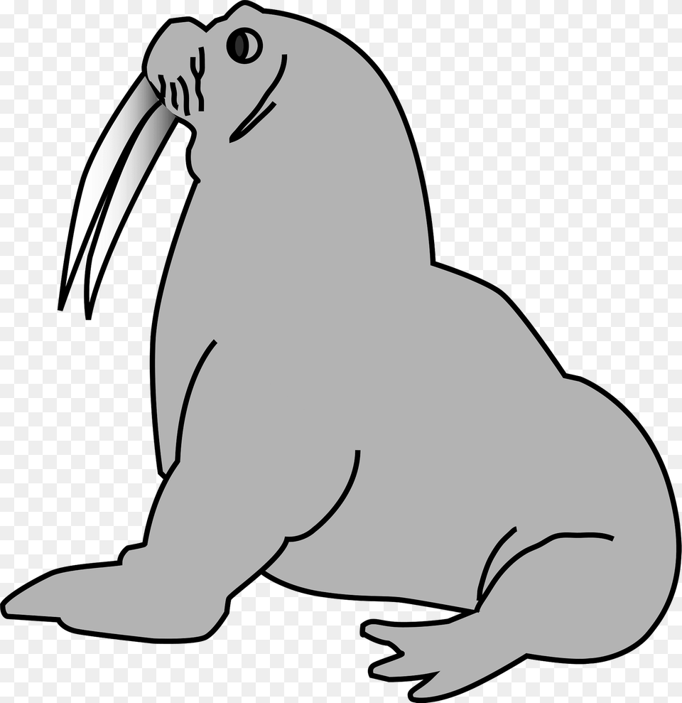 Walrus Clipart, Animal, Sea Life, Mammal, Fish Png Image