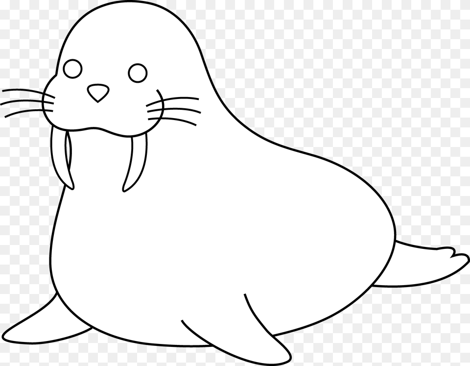 Walrus Clipart, Animal, Mammal, Sea Life, Sea Lion Png