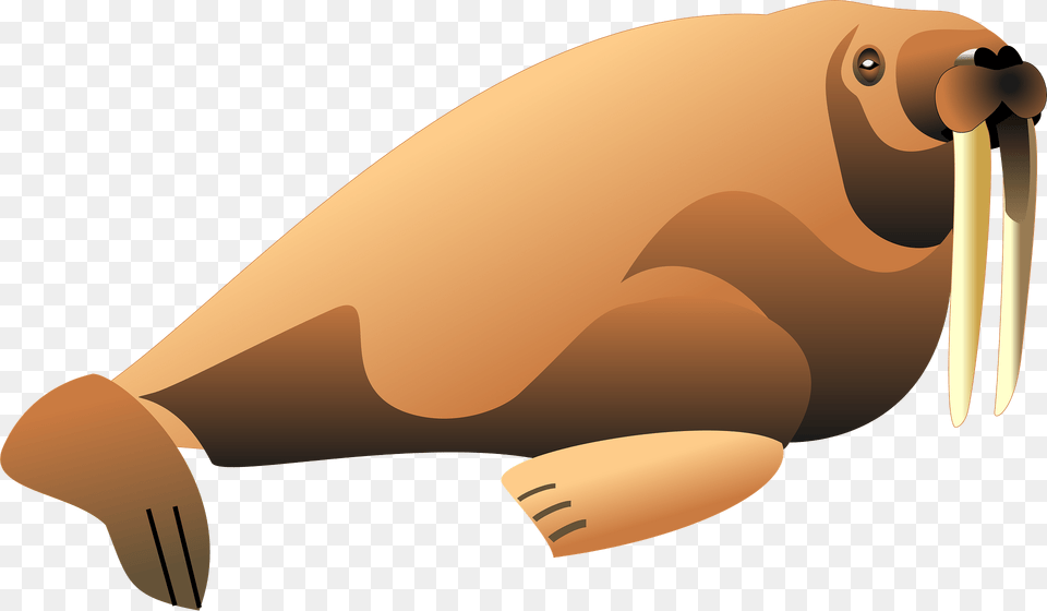 Walrus Clipart, Animal, Mammal, Sea Life Png