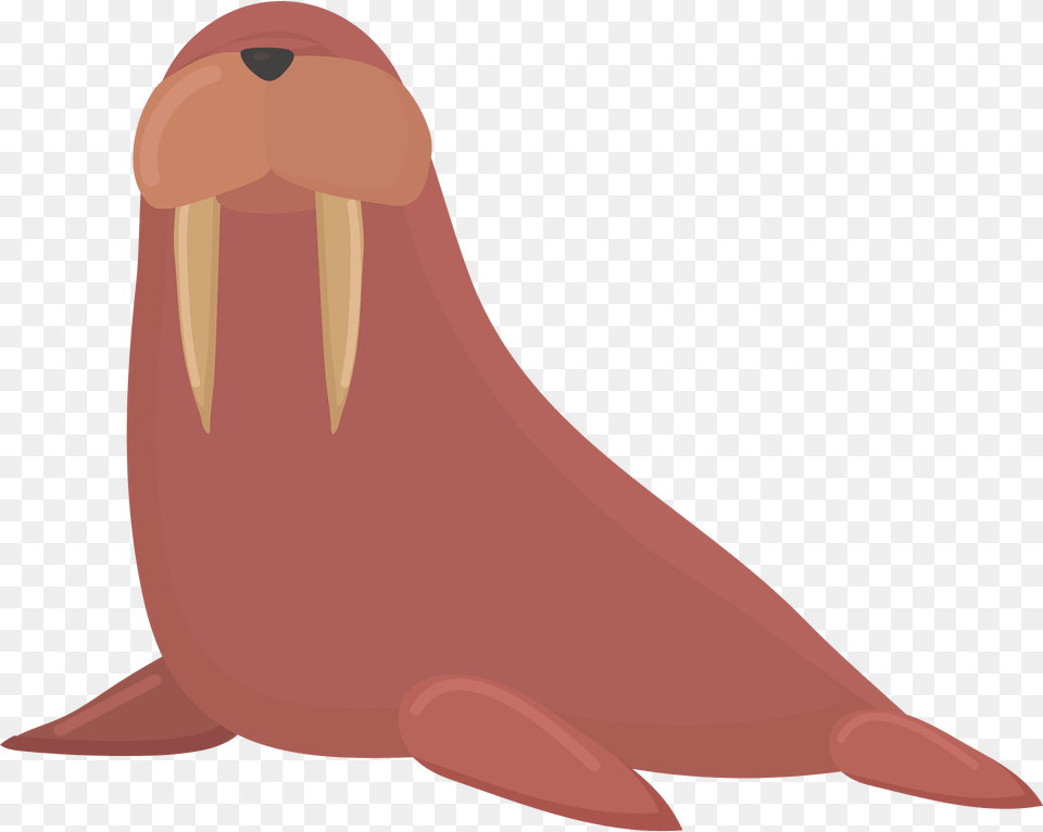 Walrus Clipart, Animal, Sea Life, Mammal, Fish Free Transparent Png