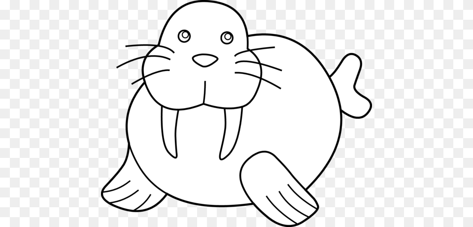 Walrus Clipart, Baby, Person, Animal, Mammal Png Image