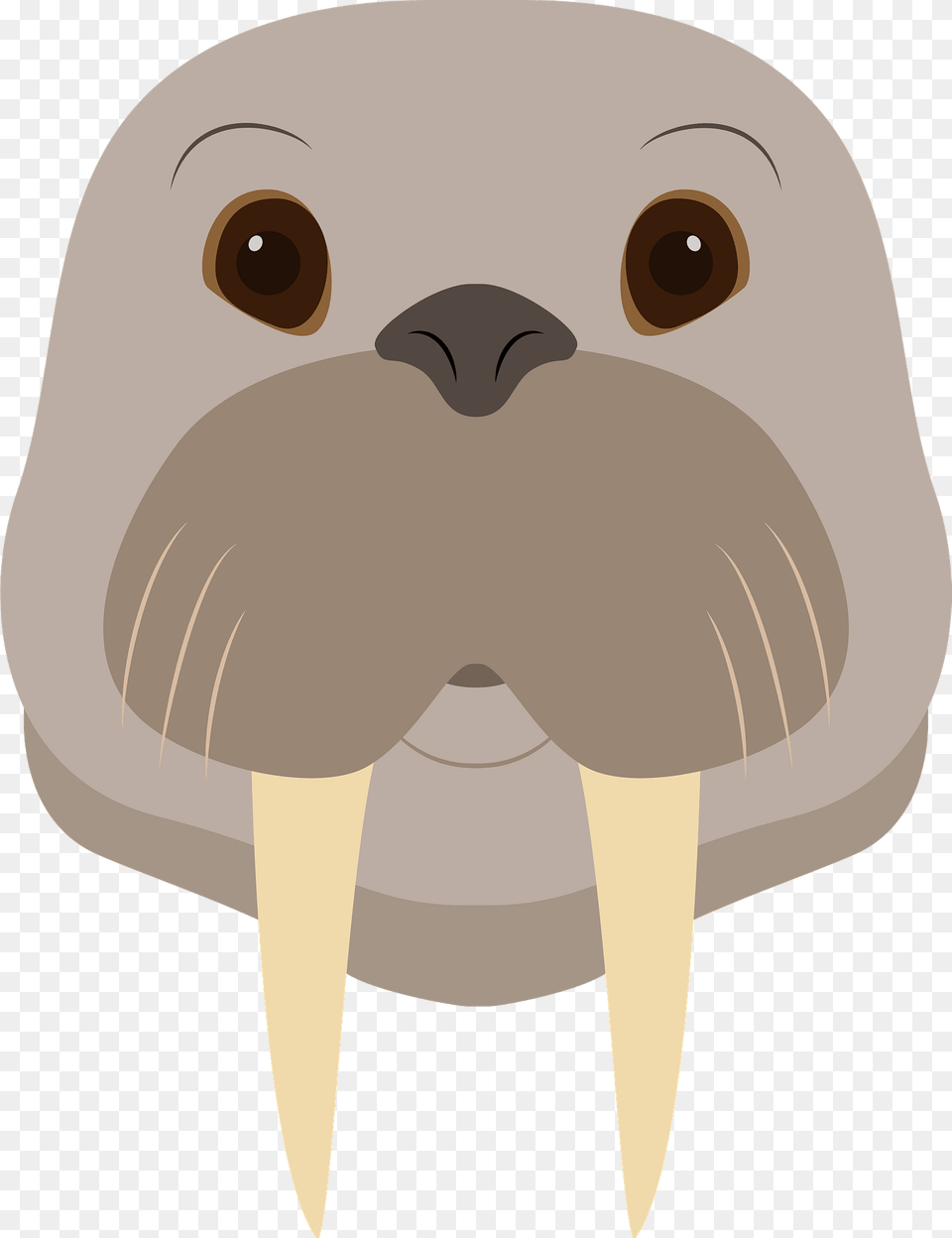 Walrus Face Clipart, Animal, Sea Life, Mammal, Person Png