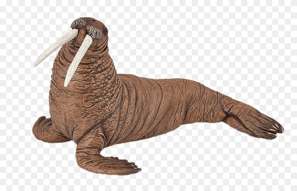 Walrus Figurine, Animal, Sea Life, Reptile, Dinosaur Png