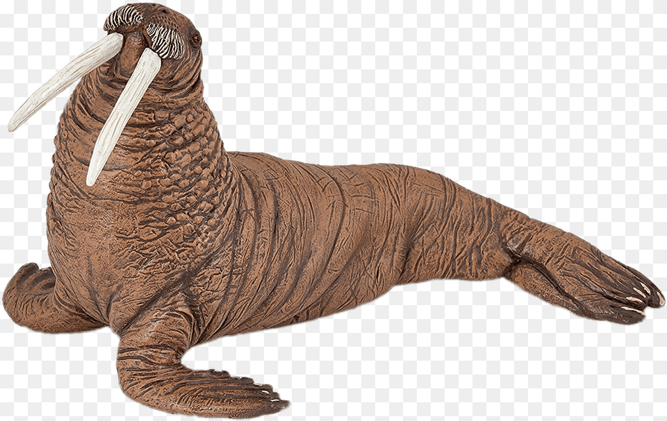 Walrus Figurine Walrus Toy, Animal, Sea Life, Reptile, Dinosaur Png