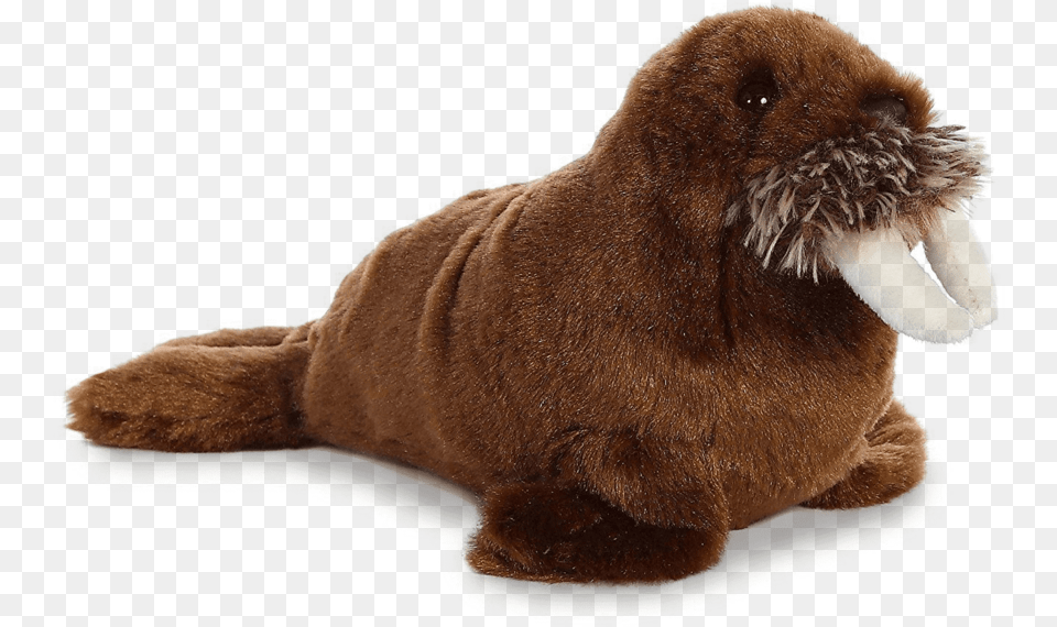 Walrus Free Download Walrus Plush, Animal, Bear, Mammal, Wildlife Png Image