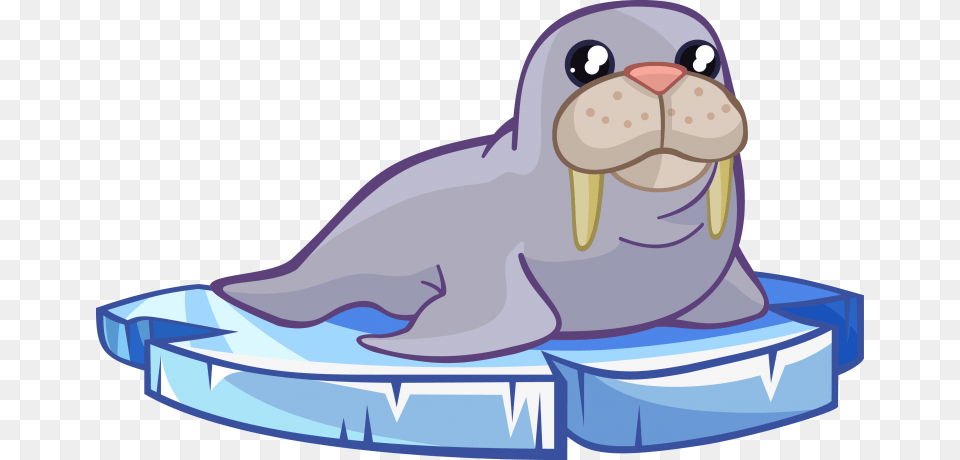 Walrus To Use Cliparts, Animal, Sea Life, Mammal, Fish Free Transparent Png