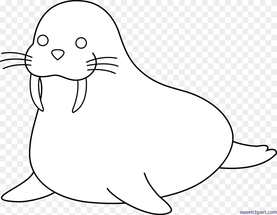 Walrus Lineart Clip Art, Animal, Sea Life, Mammal, Sea Lion Png Image