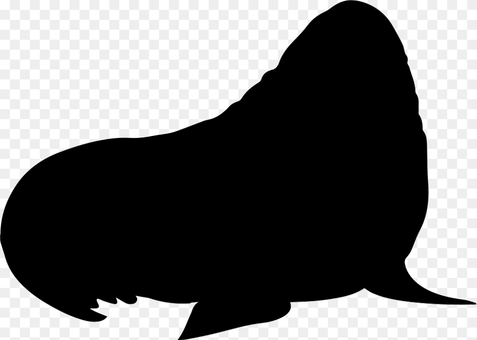 Walrus Mammal Silhouette Icon, Animal, Sea Life, Sea Lion, Fish Free Png Download