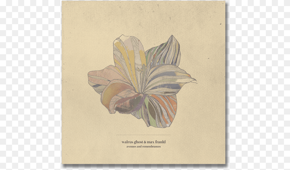 Walrus Max Avenues And Remembrances, Flower, Plant, Art, Floral Design Free Png Download