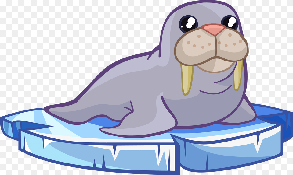 Walrus To Use Cliparts Walrus Clipart, Animal, Mammal, Sea Life, Fish Png Image