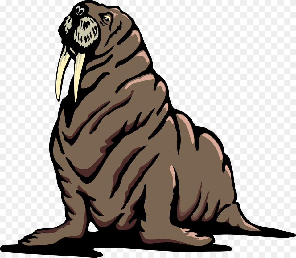Walrus Transparent Walrus Clipart Transparent, Animal, Mammal, Sea Life, Person Free Png