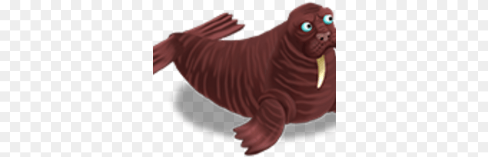 Walrus Walrus, Animal, Mammal, Sea Life, Baby Free Png