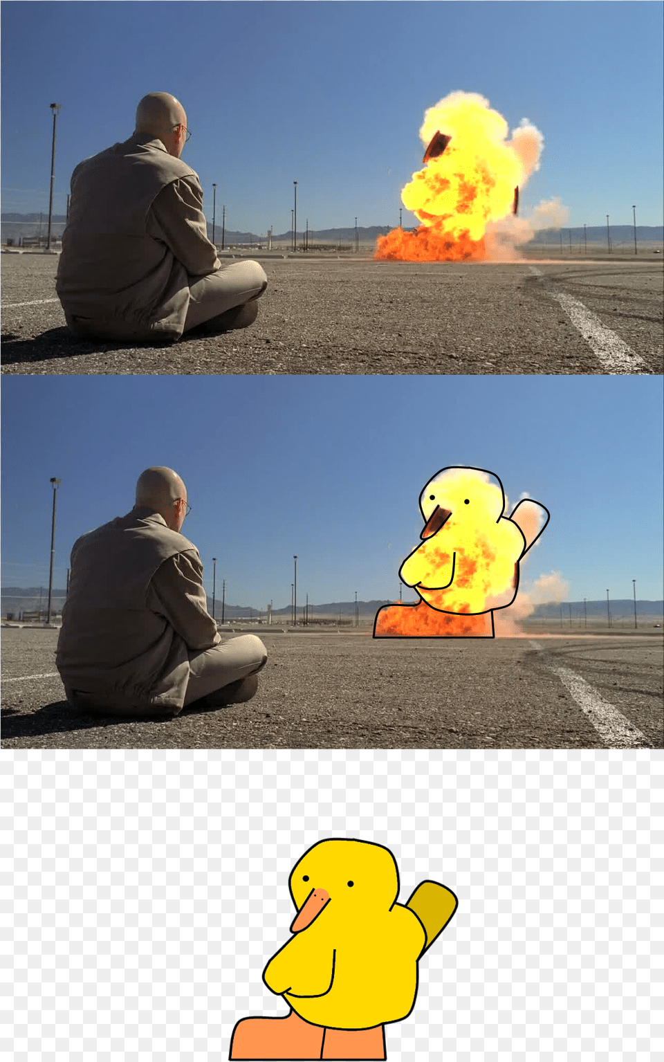 Walter White Saul Goodman Yellow Water Bird Ducks Geese Cool Men Dont Look At Explosions, Adult, Male, Man, Person Free Png
