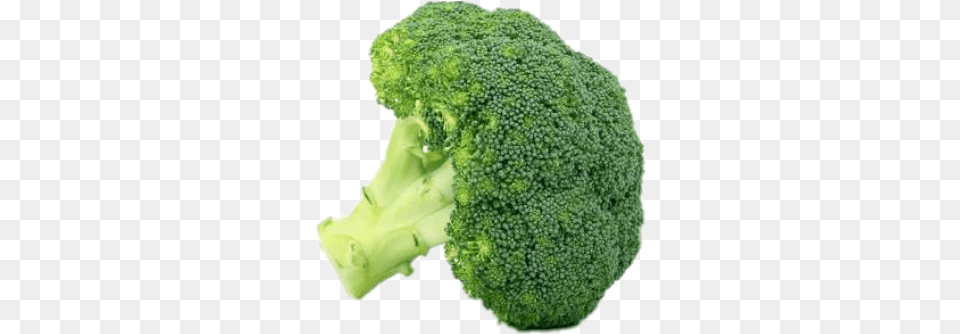 Waltham Broccoli Vegetable Seeds, Food, Plant, Produce, Person Free Transparent Png