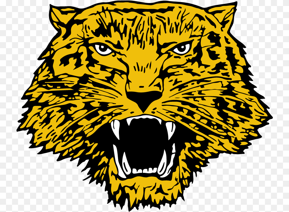 Wampus Cat Itasca Tx, Animal, Lion, Mammal, Wildlife Free Transparent Png