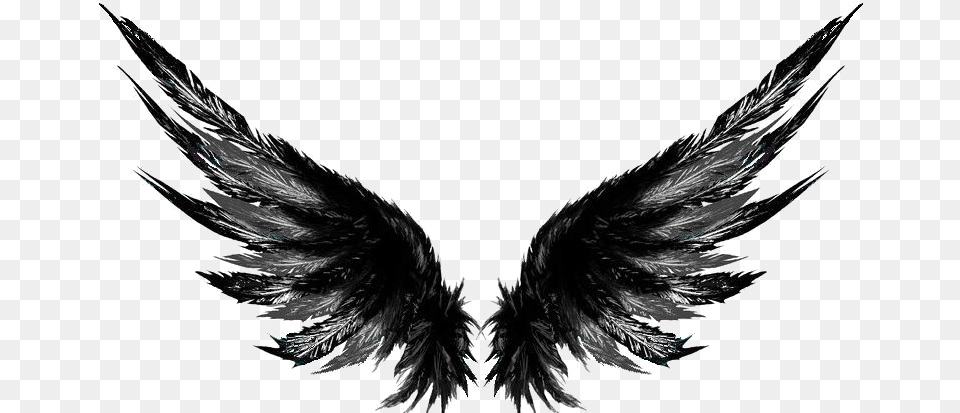 Wandering Wings Festival Band Picsart Wings Hd, Accessories, Art, Angel, Person Png