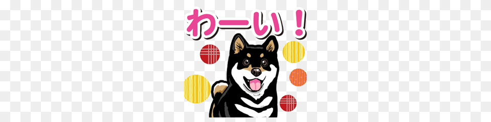 Wanko Biyori Daily Black Shiba Inu Line Stickers Line Store, Animal, Pet, Mammal, Husky Free Transparent Png