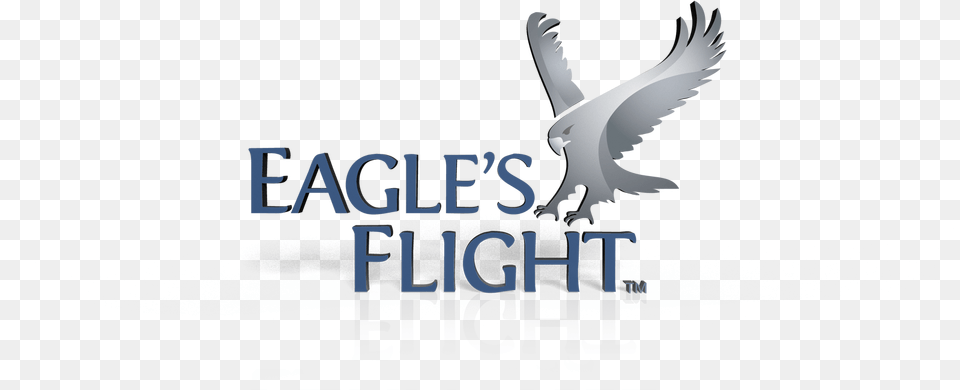 Want To Become An Eaglequots Flight Global Licensee Eagles Flight, Animal, Bird, Flying, Kite Bird Free Png Download