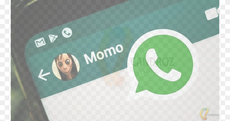 Want To Create A Momo Whatsapp Number Prank Your Friends Icon, Phone, Electronics, Mobile Phone, Adult Png