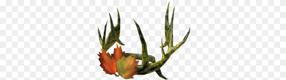 Wanwood Autumn King Crown Roblox Wikia Fandom Wanwood Autumn King Crown, Leaf, Plant, Tree, Aloe Free Png