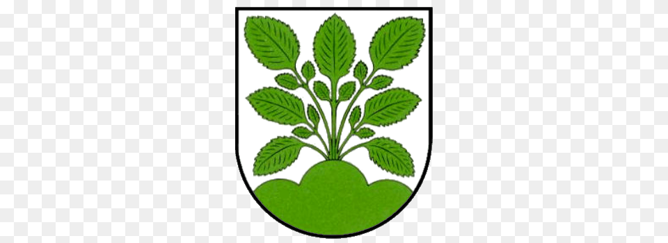 Wappen Hasel, Green, Herbal, Herbs, Leaf Png