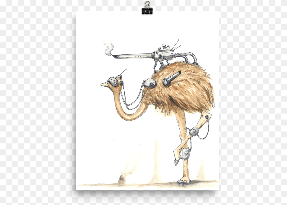 War Emu Poster Varick Gallery 39war Emu39 Giclee Graphic Art Print On, Animal, Bird, Beak, Ostrich Png Image