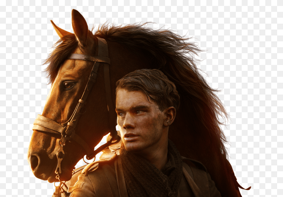 War Horse Movie, Adult, Person, Man, Face Free Png Download