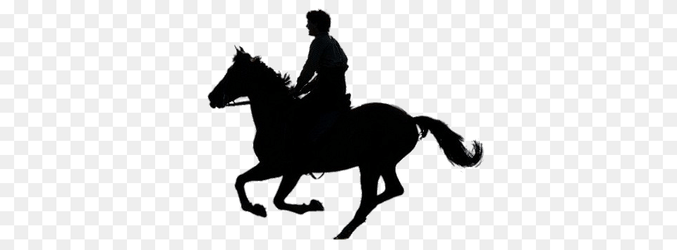 War Horse Silhouette, Animal, Mammal, Adult, Male Free Png Download
