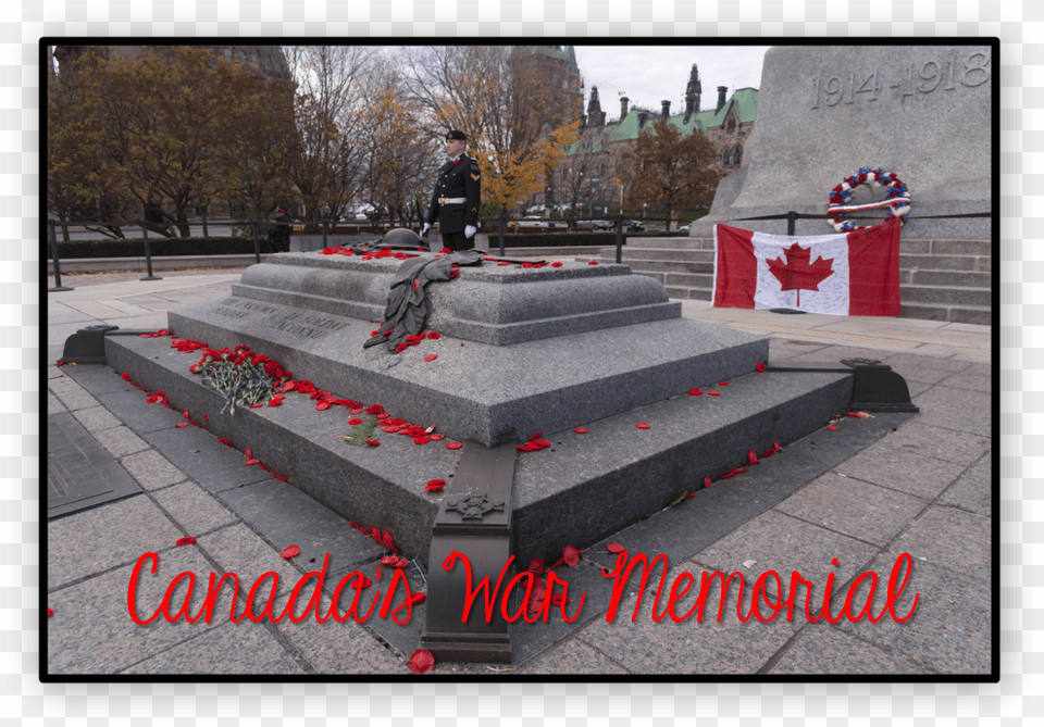 War Memorial Tree, Tomb, Person, Gravestone, Clothing Free Transparent Png