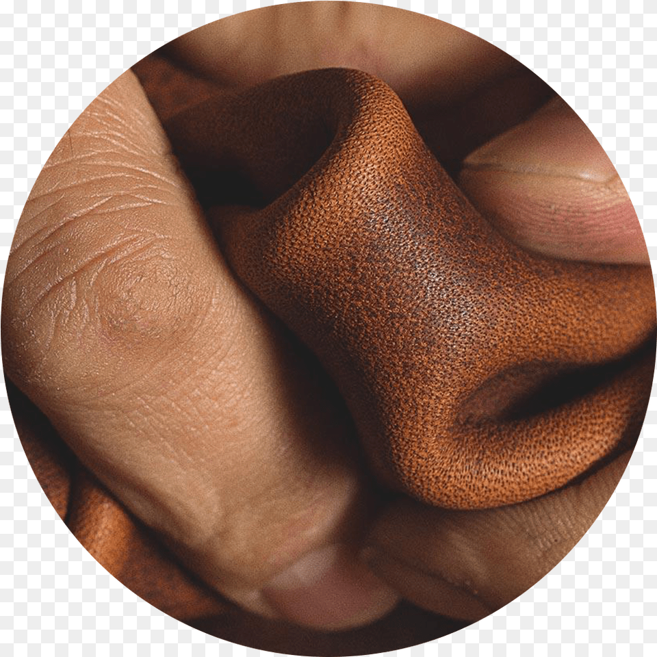 Warbyparker Feature Leather, Body Part, Finger, Hand, Person Png Image