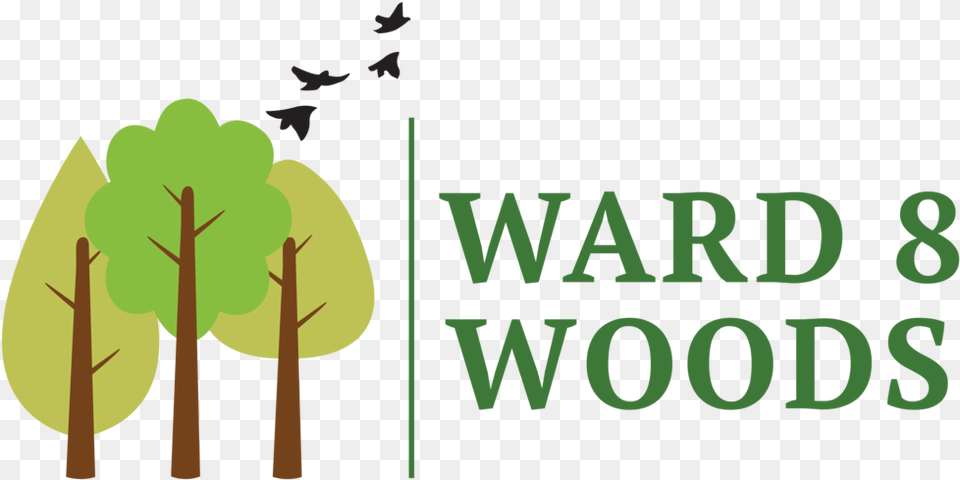 Ward 8 Woods Logo Illustration, Green, Plant, Vegetation Png