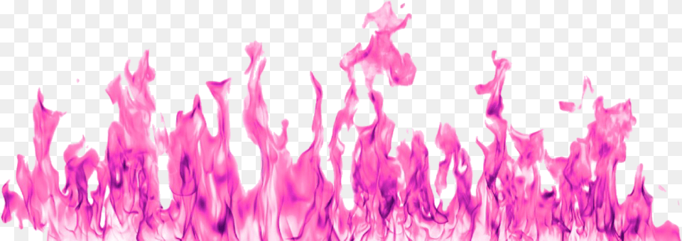 Warm And Cool Pink Flames Pink Fire Background, Purple, Art, Graphics, Bonfire Free Png