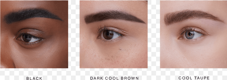 Warm Black Brown Eyebrow, Art, Collage, Adult, Female Png