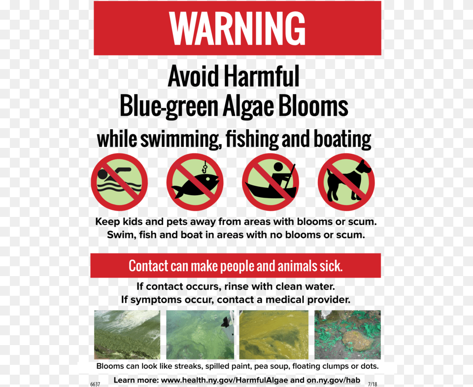 Warning Toxic Algae, Advertisement, Poster, Sign, Symbol Png Image