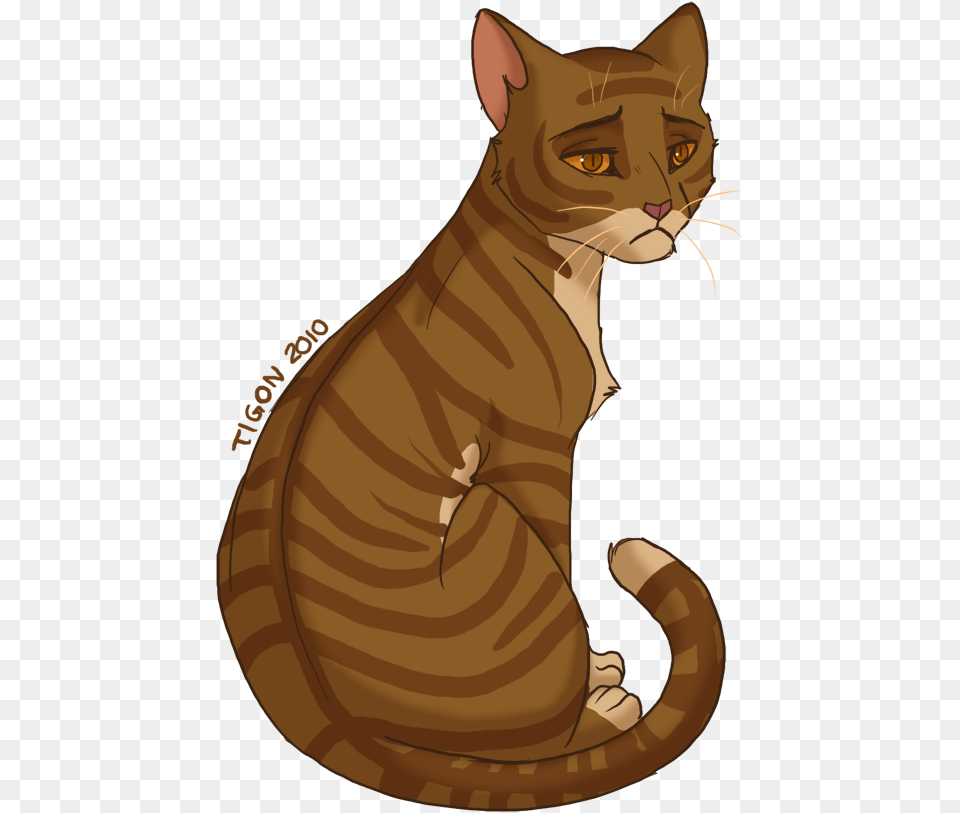 Warrior Cat Leafpool, Abyssinian, Animal, Mammal, Pet Png