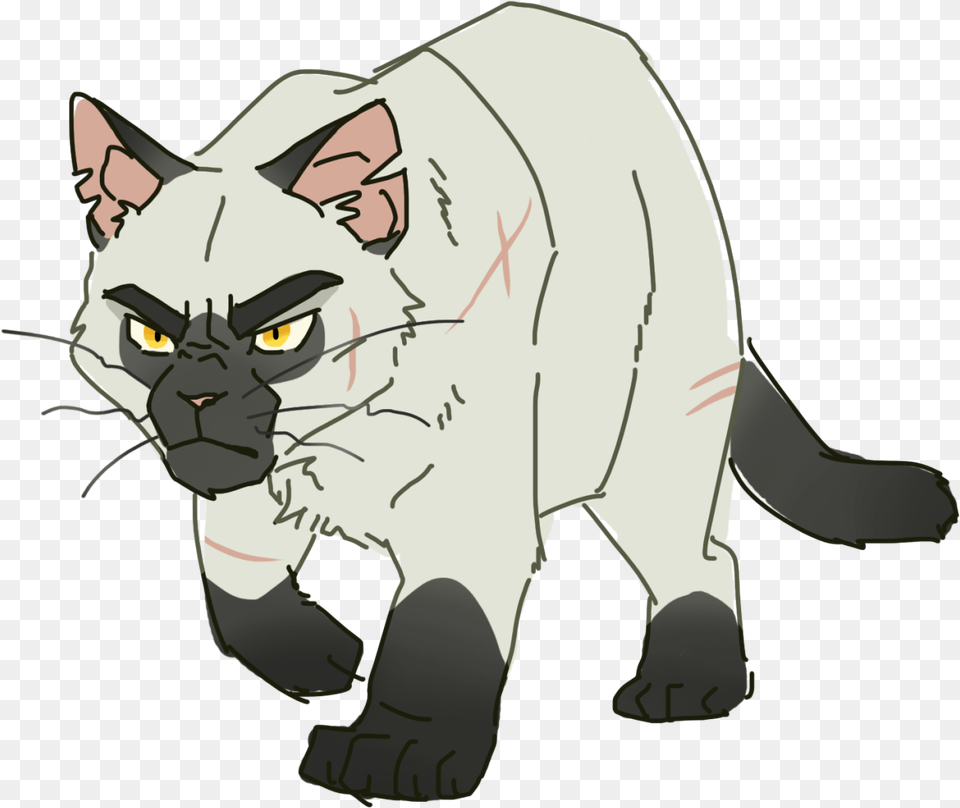 Warrior Cats Challenge, Animal, Mammal, Baby, Person Png