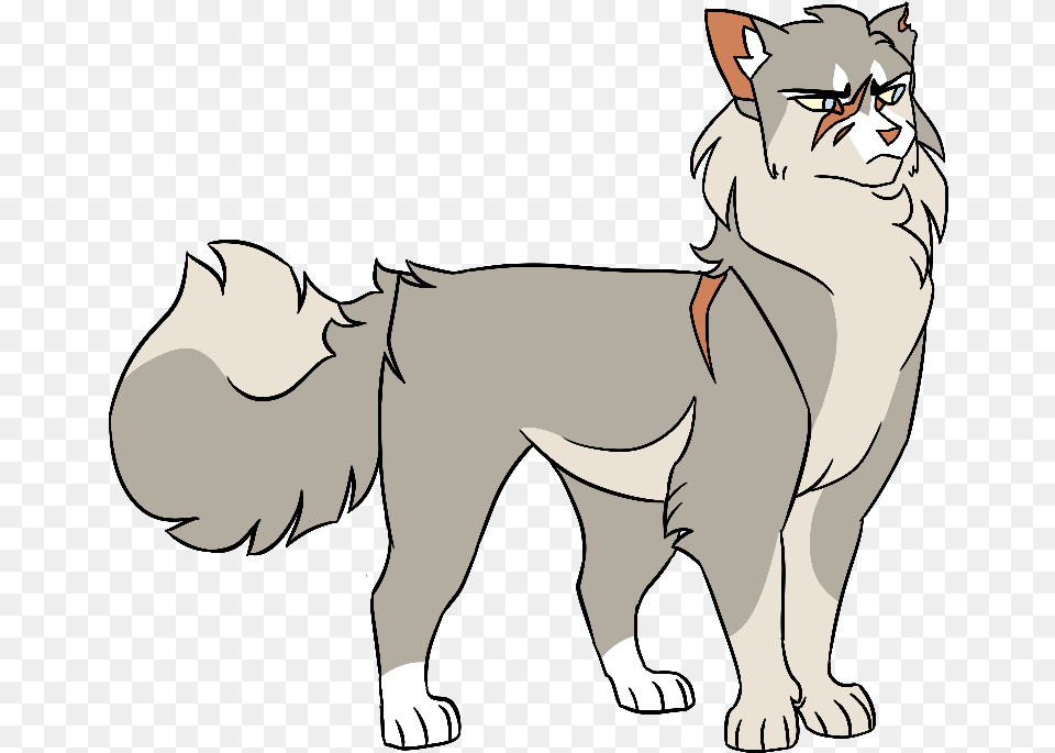 Warrior Cats Clear Sky, Person, Face, Head, Adult Png
