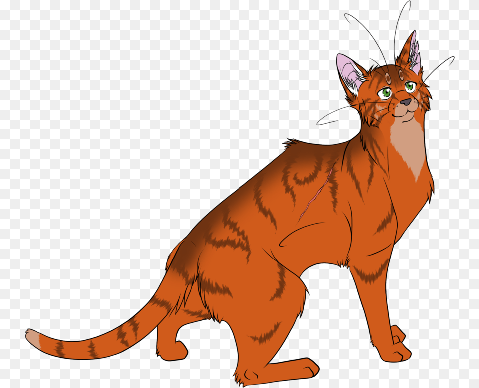 Warrior Cats Firestar, Animal, Cat, Mammal, Pet Png